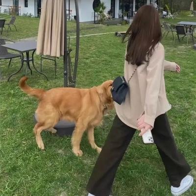 小悦